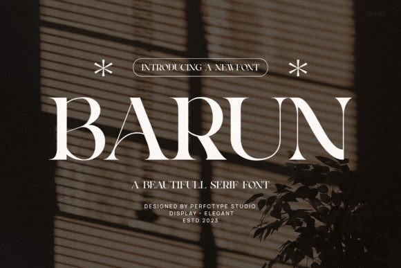 Barun: A Serif Font That Elevates Digital Branding