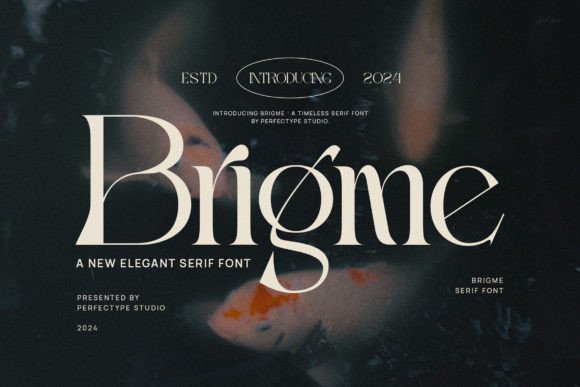 Brigme: A Serif Font That Elevates Brand Campaigns