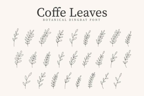 Coffe Leaves: A Font That Elevates Your Brand