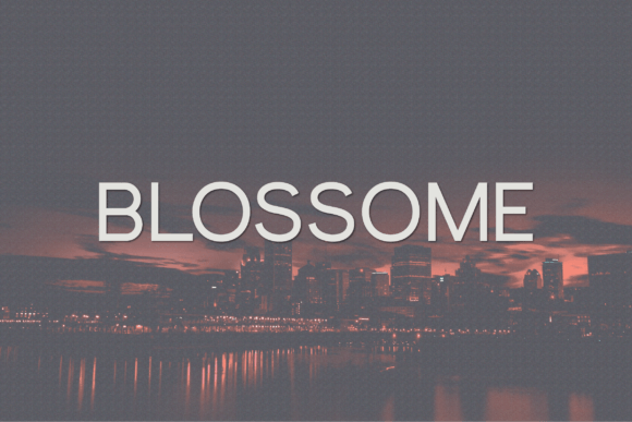 Font Choice That Matters: Blossome for Campaign Clarity