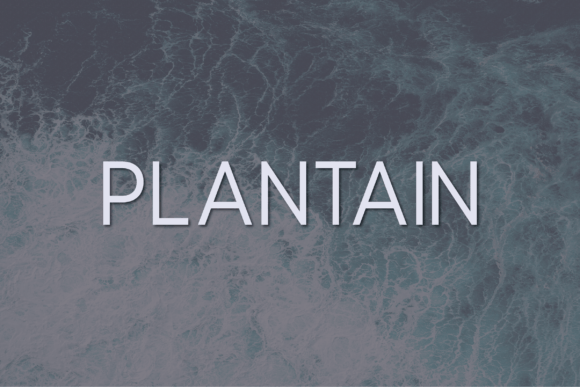Plantain: A Versatile Sans Serif for Editorial Excellence