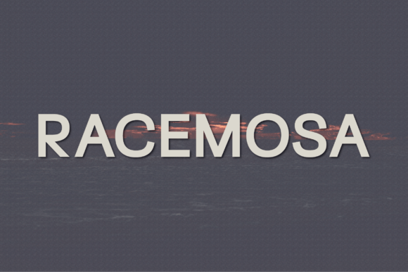 Racemosa: A Modern Sans Serif for Digital Design